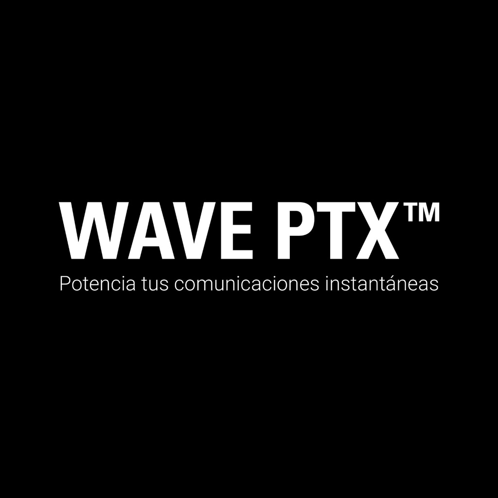 WAVE-VIDEO-STR-DISP-1 